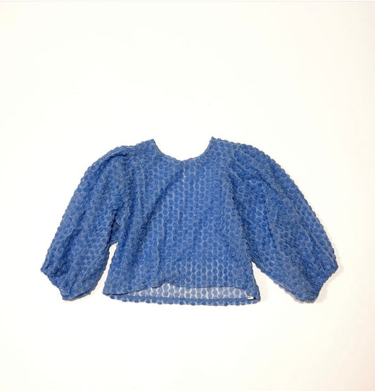 Blue Top